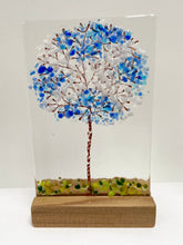 Load image into Gallery viewer, scottish collection of stands