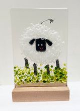 Load image into Gallery viewer, animals