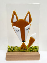 Load image into Gallery viewer, animals