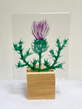 Load image into Gallery viewer, scottish collection of stands