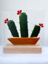 Load image into Gallery viewer, rainbows and magical