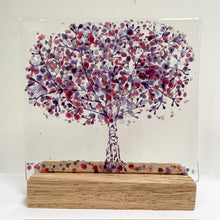 Load image into Gallery viewer, large trees