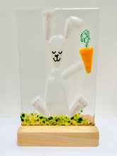 Load image into Gallery viewer, animals