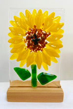 Load image into Gallery viewer, flowers