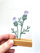 Load image into Gallery viewer, scottish collection of stands