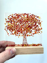 Load image into Gallery viewer, large trees