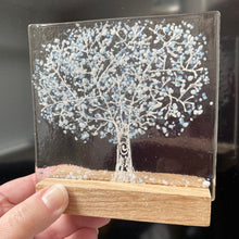 Load image into Gallery viewer, large trees