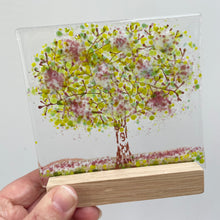 Load image into Gallery viewer, large trees