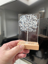Load image into Gallery viewer, trees - medium