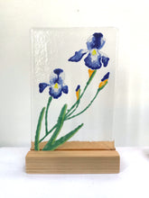 Load image into Gallery viewer, hand drawn