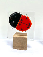 Load image into Gallery viewer, mini animals