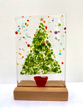 Load image into Gallery viewer, Christmas Trees - medium
