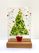 Load image into Gallery viewer, Christmas Trees - medium