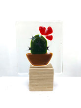 Load image into Gallery viewer, rainbows and magical