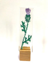 Load image into Gallery viewer, scottish collection of stands