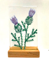 Load image into Gallery viewer, scottish collection of stands