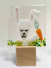 Load image into Gallery viewer, mini animals
