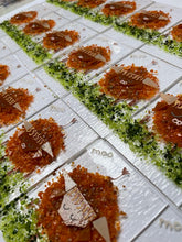 Load image into Gallery viewer, animals
