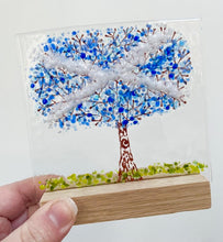 Load image into Gallery viewer, large trees
