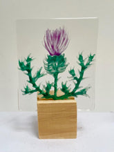 Load image into Gallery viewer, scottish collection of stands
