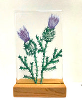 Load image into Gallery viewer, scottish collection of stands
